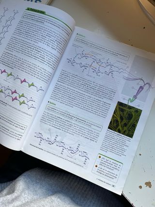 Código Bruño Biología 2 Bachillerato
