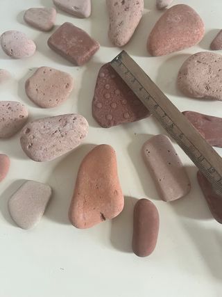 Terracotte di mare  - lotto 30