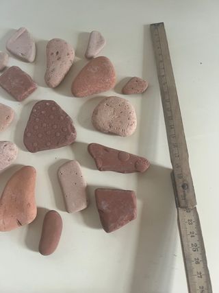 Terracotte di mare  - lotto 30