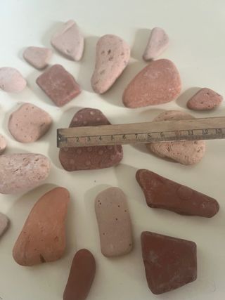 Terracotte di mare  - lotto 30
