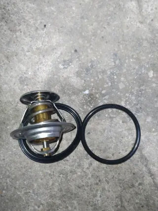 Termostato VW Passat