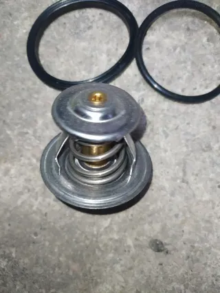 Termostato VW Passat