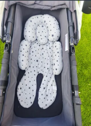 Bugaboo Camaleon Edición Silver