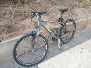 Bicicleta de Montaña Gris