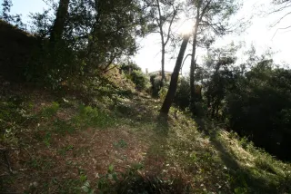 Terreno en venta en Carena Llarg, 7 Vacarisses