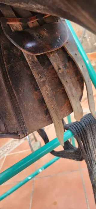 Montura de salto o uso general