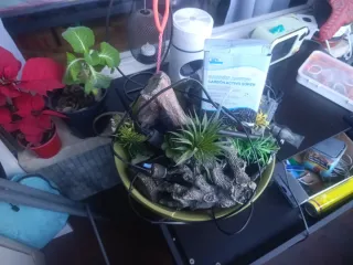 Acuario Negro y Transparente