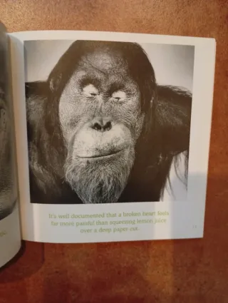 Libro The meaning of life