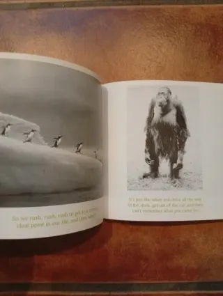 Libro The meaning of life