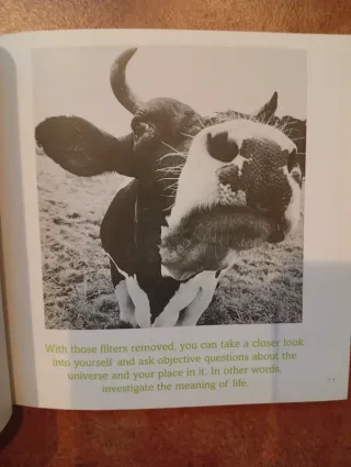 Libro The meaning of life