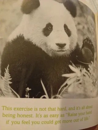 Libro The meaning of life