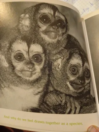 Libro The meaning of life