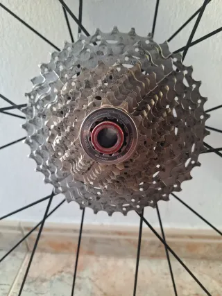 Rueda trasera 29 Mavic Cross Roc MTB