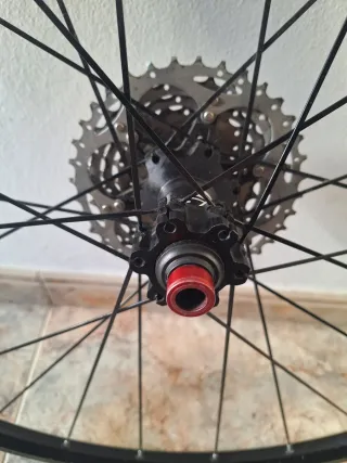 Rueda trasera 29 Mavic Cross Roc MTB