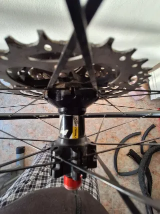 Rueda trasera 29 Mavic Cross Roc MTB