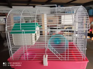 Jaula para hámster con accesorios