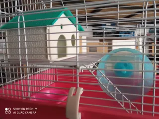 Jaula para hámster con accesorios