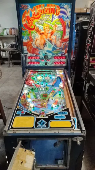 Pinball Aqualand