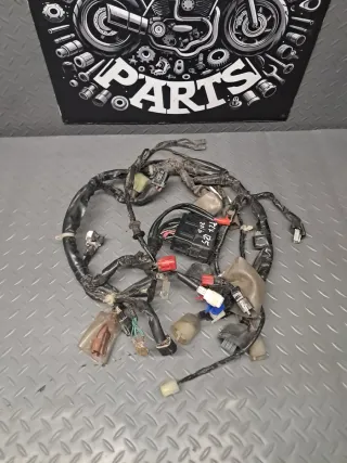 Cableado Honda PCX 125 2016