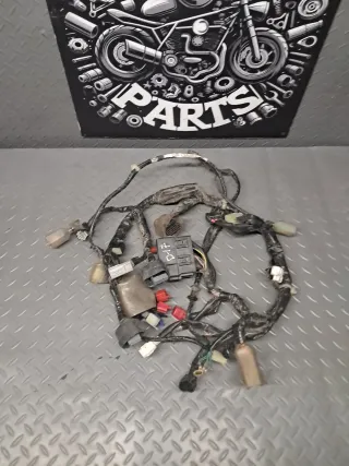 Cableado Honda PCX 125 2016