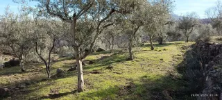 Finca rustica