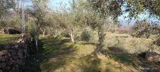 Finca rustica