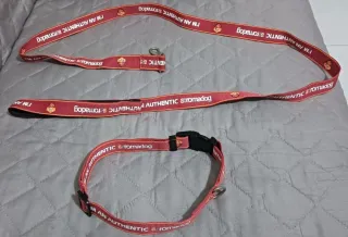 Guinzaglio e collare AS Roma per cani