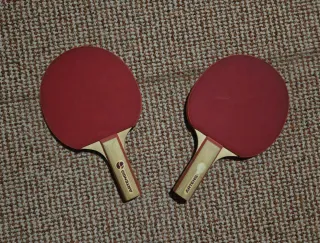 Palas de Ping Pong Artengo (2 unidades)