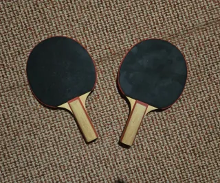 Palas de Ping Pong Artengo (2 unidades)