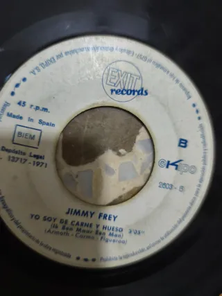 Lote de Vinilos Antiguos