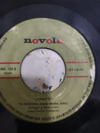 Lote de Vinilos Antiguos