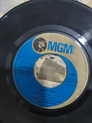 Lote de Vinilos Antiguos