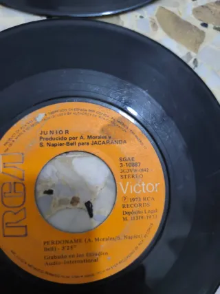 Lote de Vinilos Antiguos