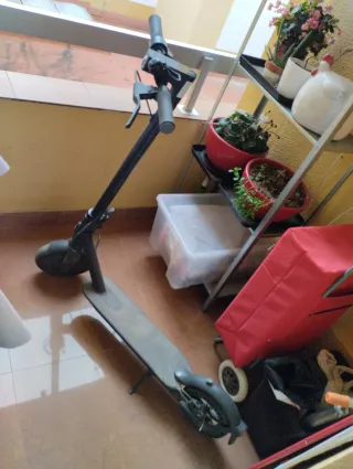 Patinete Eléctrico Xiaomi