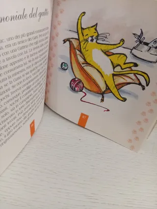 Come ubbidire al gatto