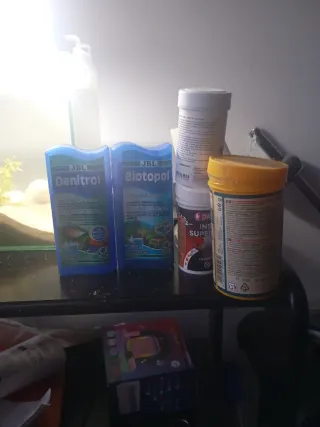 Acuario con arena y plantas