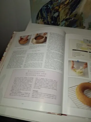 The Ultimate Cake Decorator