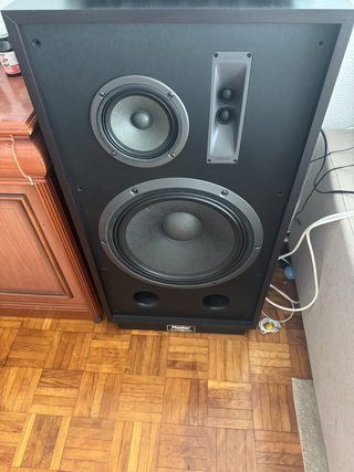 Magnat Transpuls 1500 Altavoces