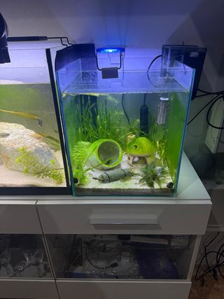 Acuario pequeño COMPLETO 30L CON TODO INCLUIDO!!