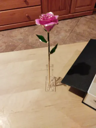 Día de la Madre-Rosa Eterna Bañada en Oro 24k