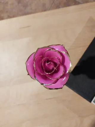 Día de la Madre-Rosa Eterna Bañada en Oro 24k