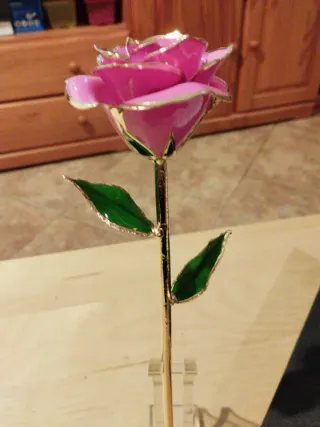 Día de la Madre-Rosa Eterna Bañada en Oro 24k
