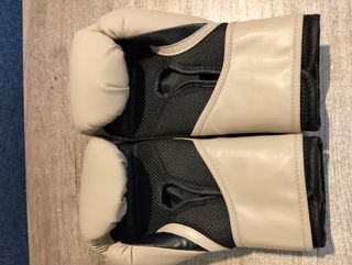 Guantes de boxeo Training Elite 2 Everlast