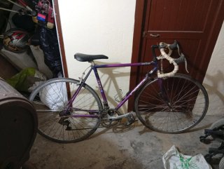 Bicicleta Orbea sierra nevada