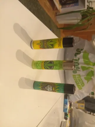 3/4 colección Clippers green friendly