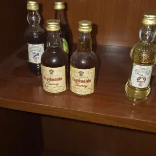 Bottiglie da Collezione in Miniatura