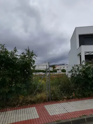 Servicios de desbroce