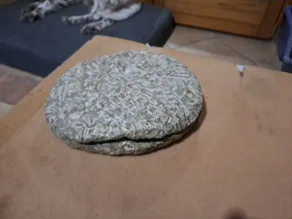 Fósil Trilobites Paleozoico 25 cm x 20 cm