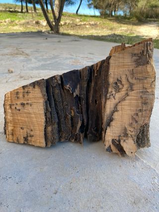 Troncos de olivo decorativos