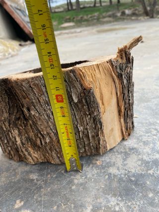 Troncos de olivo decorativos